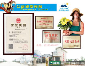 2017花海設(shè)計、造價與十年種植施工經(jīng)驗下的數(shù)字內(nèi)容制作服務(wù)